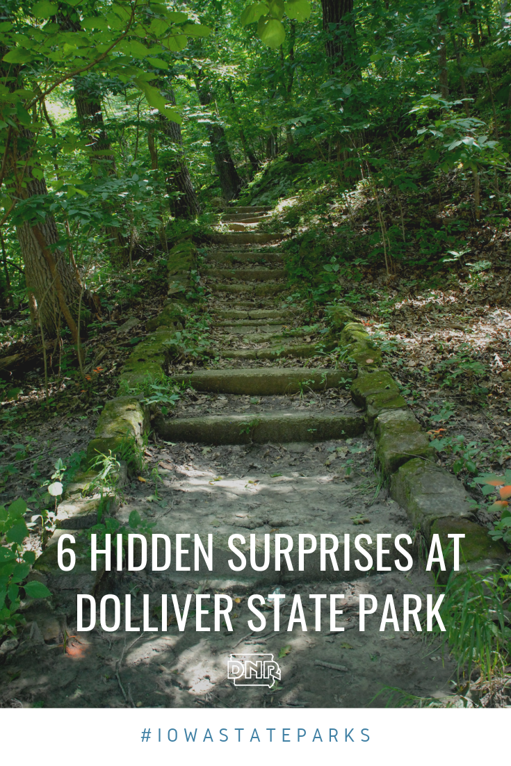 Located along the Des Moines River just south of Fort Dodge, Dolliver Memorial State Park is packed with hidden gems and unique natural history.  |  Iowa DNR